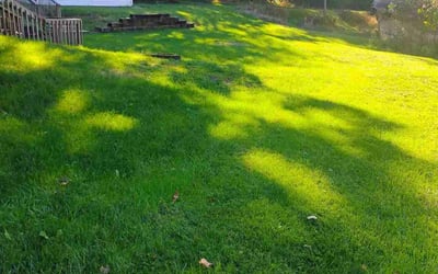 Photo of Samuel M.'s yard after getting lawn care in Lancaster, OH