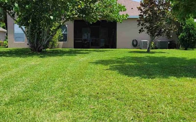 Photo of Shawnice W.'s yard after getting lawn care in Bakersfield, CA
