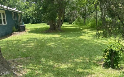 Photo of Dwyer R.'s yard after getting lawn care in Durham, NC