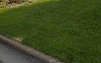 Photo of Randy B.'s yard after getting lawn care in Saint Cloud, MN
