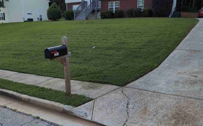 Photo of Bobby M.'s yard after getting lawn care in Monroe, GA