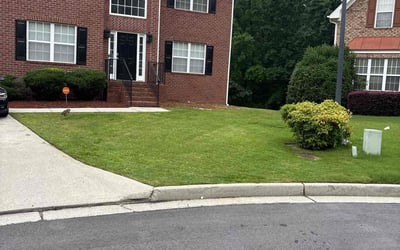 Photo of Terence S.'s yard after getting lawn care in Paterson, NJ