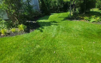 Photo of Maria B.'s yard after getting lawn care in Bristow, VA
