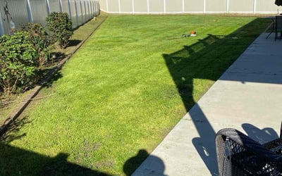 Photo of Becca S.'s yard after getting lawn care in Twentynine Palms, CA