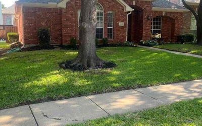 Photo of Phillip H.'s yard after getting lawn care in Allen, TX