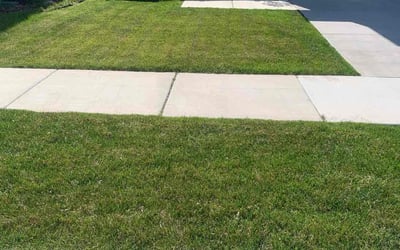 Photo of Ericale H.'s yard after getting lawn care in Orem, UT