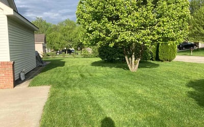 Photo of Faustina J.'s yard after getting lawn care in Walled Lake, MI