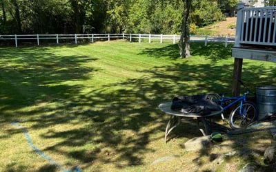 Photo of Amie P.'s yard after getting lawn care in Braintree, MA