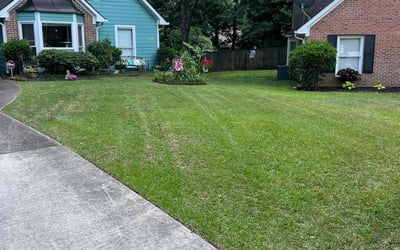 Photo of Michael H.'s yard after getting lawn care in Jasper, GA