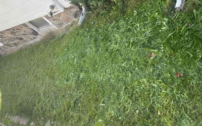 Photo of Daphne C.'s yard after getting lawn care in Lynn, MA