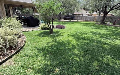 Photo of Brigitte W.'s yard after getting lawn care in Flat Rock, MI