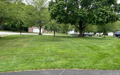 Photo of Heather F.'s yard after getting lawn care in Mount Airy, MD