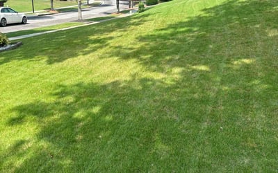 Photo of David E.'s yard after getting lawn care in Suwanee, GA