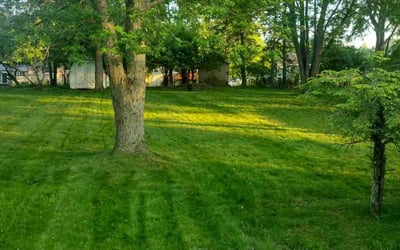 Photo of Jim O.'s yard after getting lawn care in Medina, OH