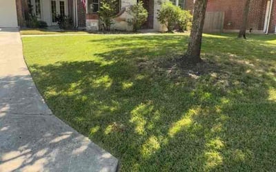 Photo of Mary D.'s yard after getting lawn care in Santa Fe, TX