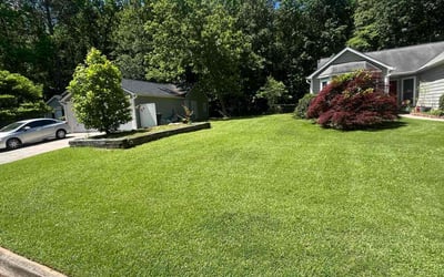 Photo of Afam O.'s yard after getting lawn care in Bowie, MD