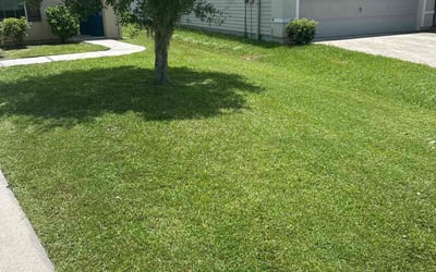 Photo of Jess G.'s yard after getting lawn care in Suwanee, GA
