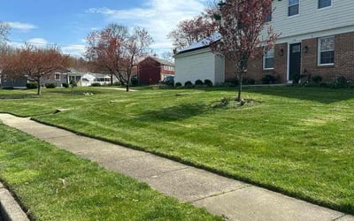 Photo of Laina L.'s yard after getting lawn care in Cherry Hill, NJ