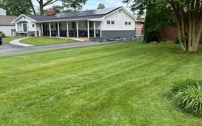 Photo of Yoli E.'s yard after getting lawn care in Glen Burnie, MD