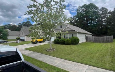 Photo of Susana G.'s yard after getting lawn care in Corpus Christi, TX