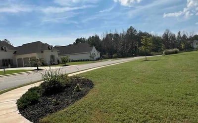 Photo of Clarence T.'s yard after getting lawn care in Madison, MS