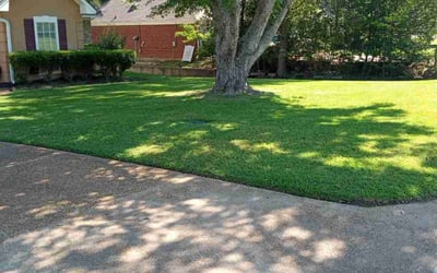 Photo of Carlos S.'s yard after getting lawn care in Madison, MS