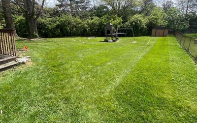 Photo of Mary T.'s yard after getting lawn care in Richwood, OH