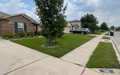 Photo of Anthony T.'s yard after getting lawn care in Denham Springs, LA