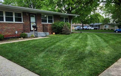Photo of Tesha S.'s yard after getting lawn care in Sullivan, MO