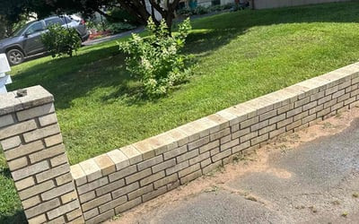 Photo of Steve A.'s yard after getting lawn care in East Haven, CT