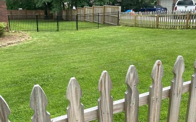 Photo of Lindsey T.'s yard after getting lawn care in Big Lake, MN