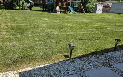 Photo of Crystal P.'s yard after getting lawn care in Schaumburg, IL