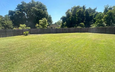 Photo of Mark M.'s yard after getting lawn care in Medford, OR