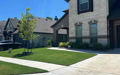 Photo of Robert K.'s yard after getting lawn care in Leland, NC