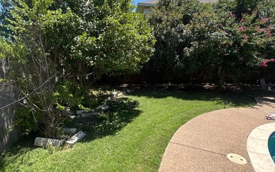Photo of Lorin V.'s yard after getting lawn care in Huntington, NY