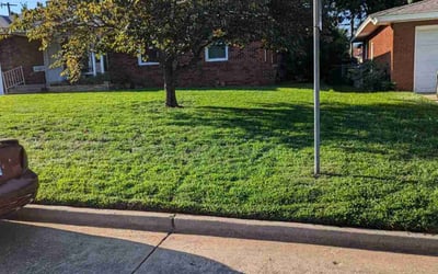 Photo of Dave C.'s yard after getting lawn care in London, KY