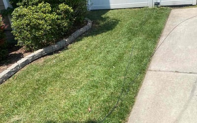 Photo of Larry B.'s yard after getting lawn care in Toano, VA