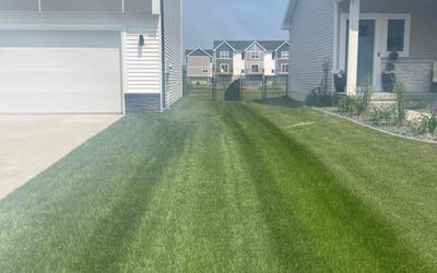 Photo of Anita M.'s yard after getting lawn care in West Des Moines, IA