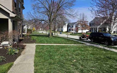 Photo of Tyler W.'s yard after getting lawn care in Daytona Beach, FL