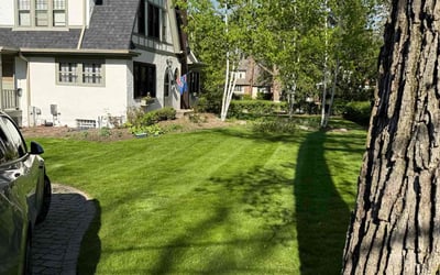 Photo of Jerry L.'s yard after getting lawn care in Hinsdale, IL
