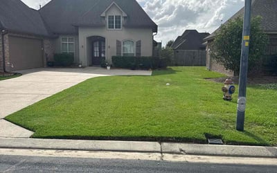 Photo of Clint V.'s yard after getting lawn care in Gonzales, LA