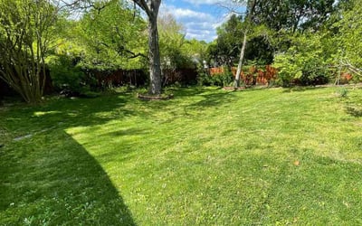 Photo of Terry R.'s yard after getting lawn care in Crown Point, IN