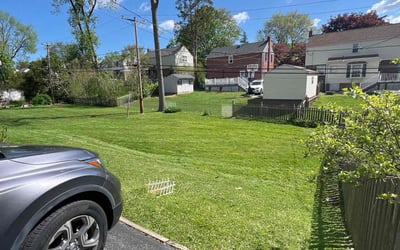 Photo of Lewis R.'s yard after getting lawn care in Havertown, PA