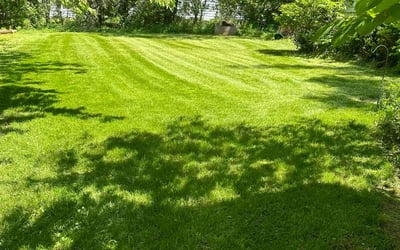 Photo of Willie J.'s yard after getting lawn care in Barrington, IL