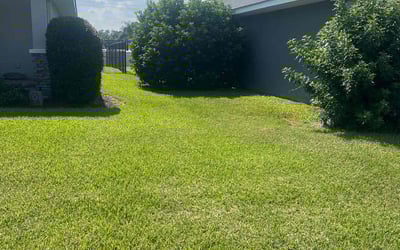 Photo of Brandy H.'s yard after getting lawn care in Auburndale, FL