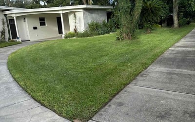 Photo of Quentin H.'s yard after getting lawn care in Four Corners, FL