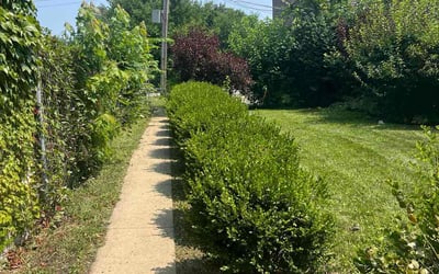 Photo of Rex R.'s yard after getting lawn care in Charlottesville, VA