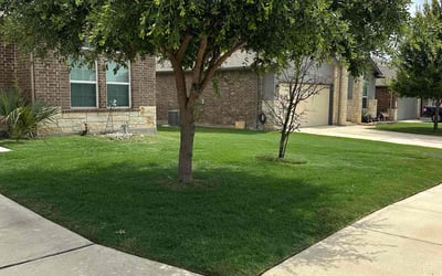Photo of Jonathan H.'s yard after getting lawn care in Winchester, KY