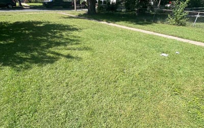 Photo of Chris D.'s yard after getting lawn care in Minneapolis, MN