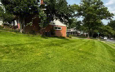 Photo of Shane V.'s yard after getting lawn care in Saint Albans, WV